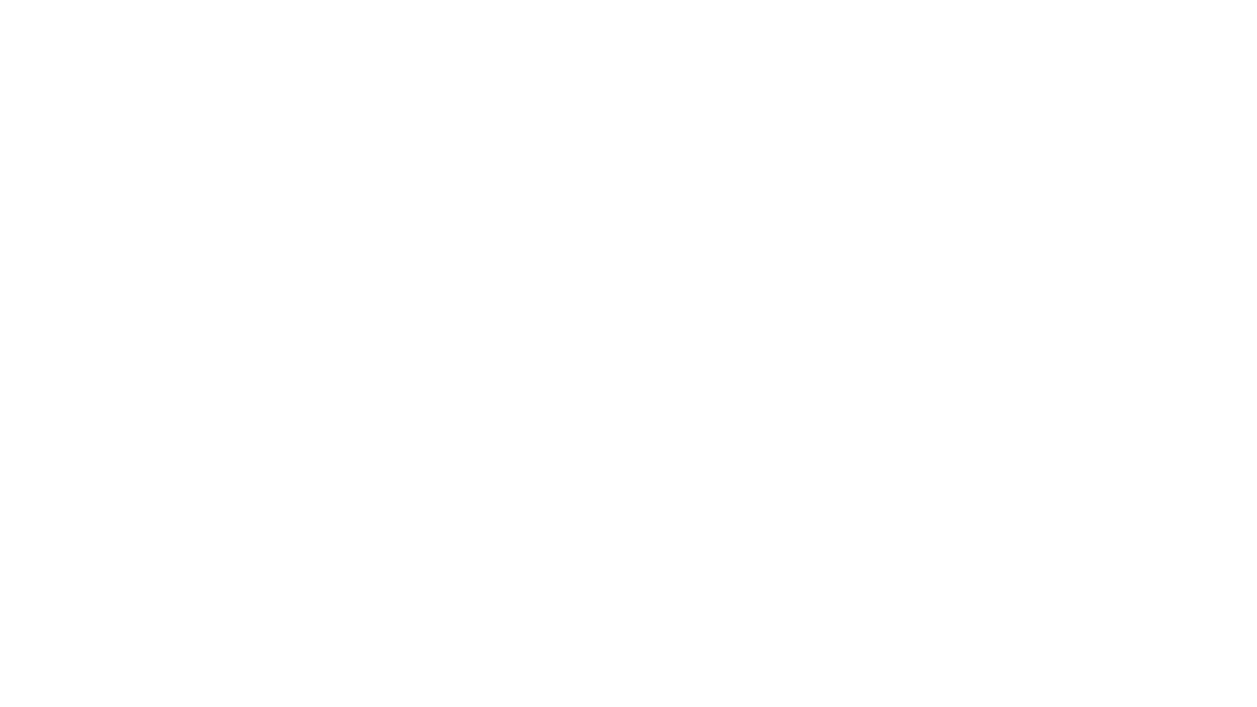 logo_formula_blanc