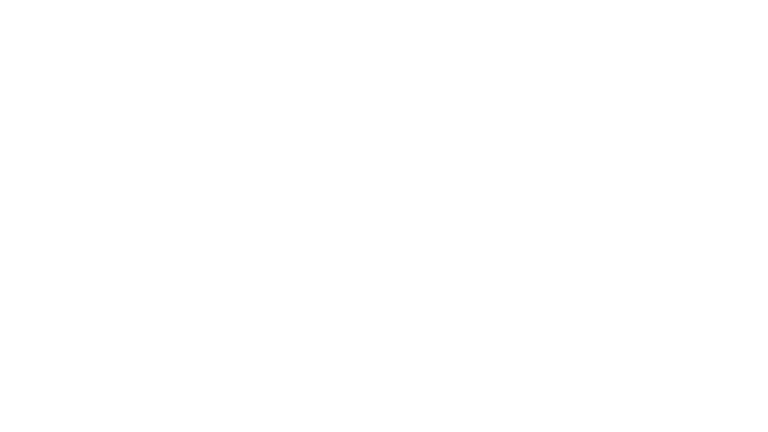 logo_scanspac_blanc