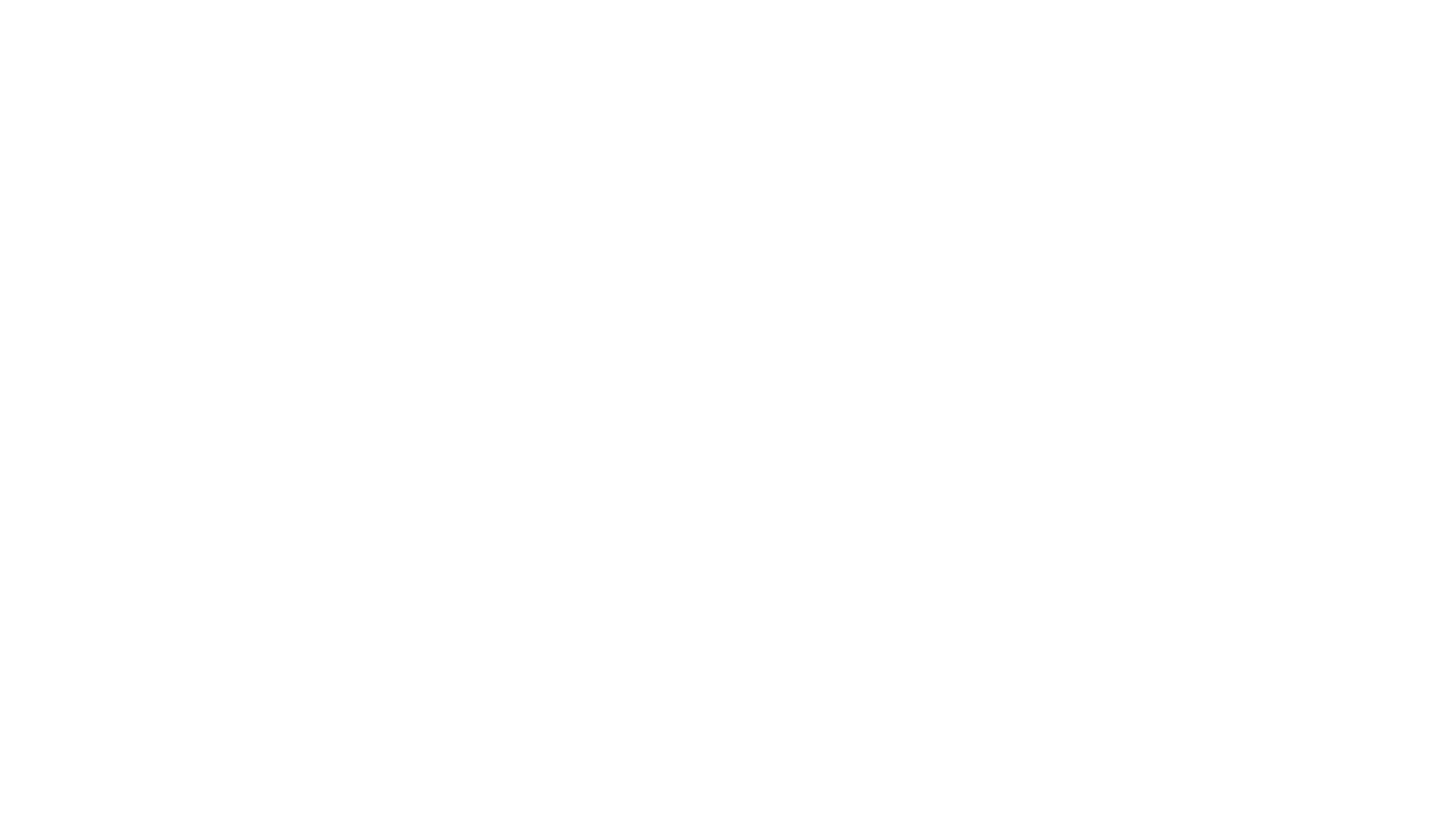 logo_vetrotech_blanc