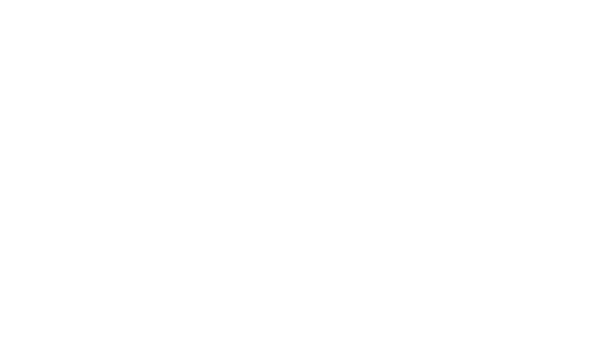 logo_weber_blanc